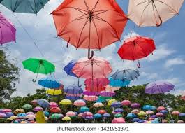 Multi Colored Umbrellas